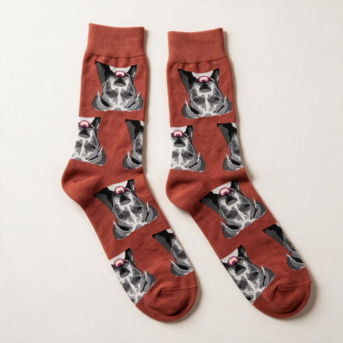 Bull Terrier Face Crew Socks | Rust Orange Dog Print (Unisex One Size)